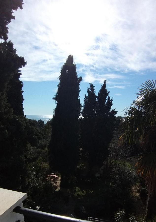 Sunny Day Rovinj