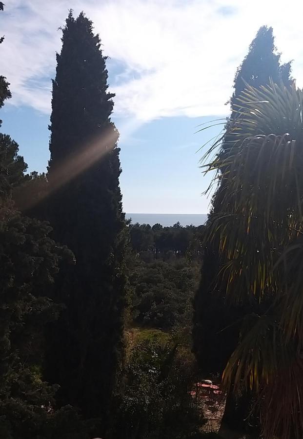 Sunny Day Appartement
